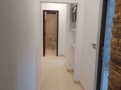 Barbu Vacarescu, Stefan Cel Mare,Lacul Tei