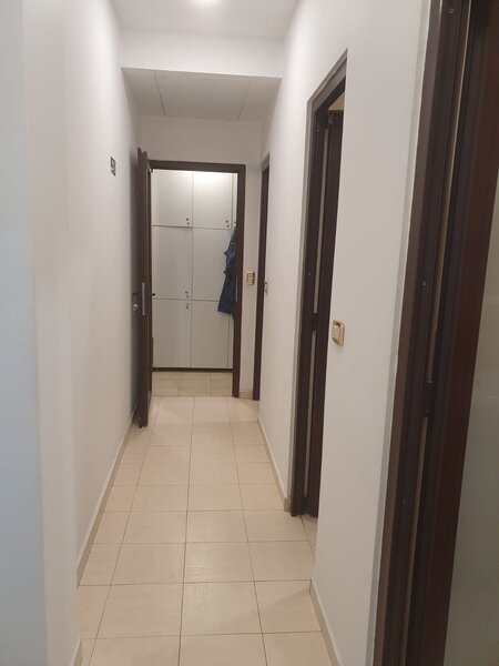 Barbu Vacarescu, Stefan Cel Mare,Lacul Tei,