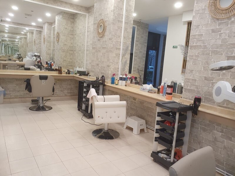 Barbu Vacarescu, Stefan Cel Mare,Lacul Tei,