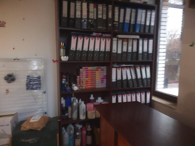 Barbu Vacarescu, Stefan Cel Mare,Lacul Tei,