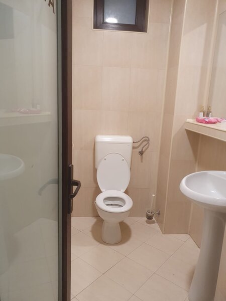 Barbu Vacarescu, Stefan Cel Mare,Lacul Tei,